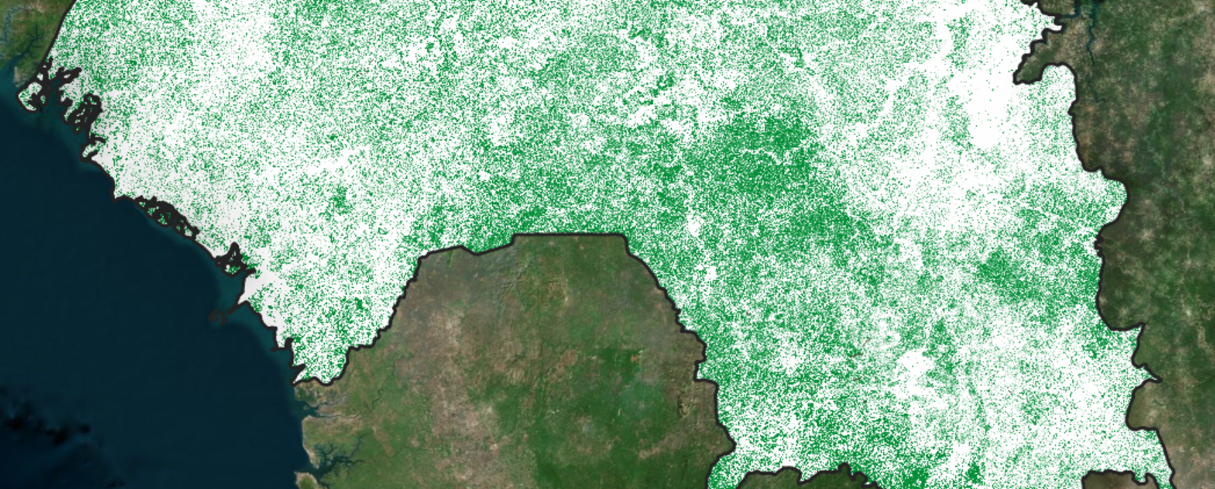 Système National de Surveillance des Forêts et des usages des sols en Guinée – SNSF