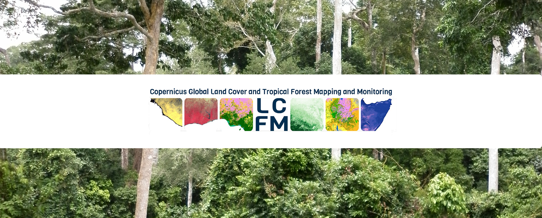 IGN FI au cœur du « Copernicus Global Land Cover and Tropical Forest Mapping and Monitoring » – LCFM