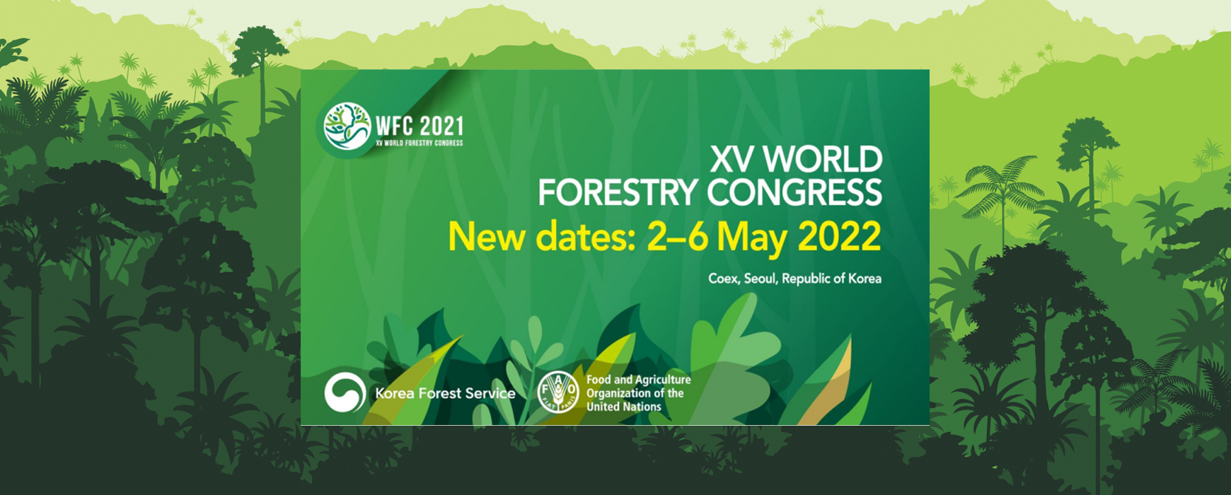 WFC 2022: Côte d’Ivoire to present the results of its national forest inventory again